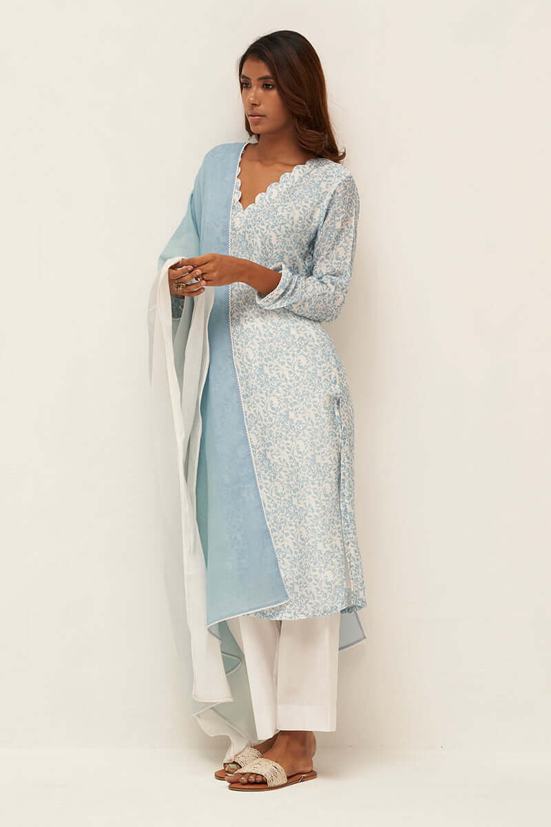 Light Blue and White Printed Salwar Suit