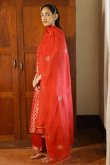 Tango Red Woven Silk Salwar Suit