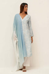 Light Blue and White Printed Salwar Suit