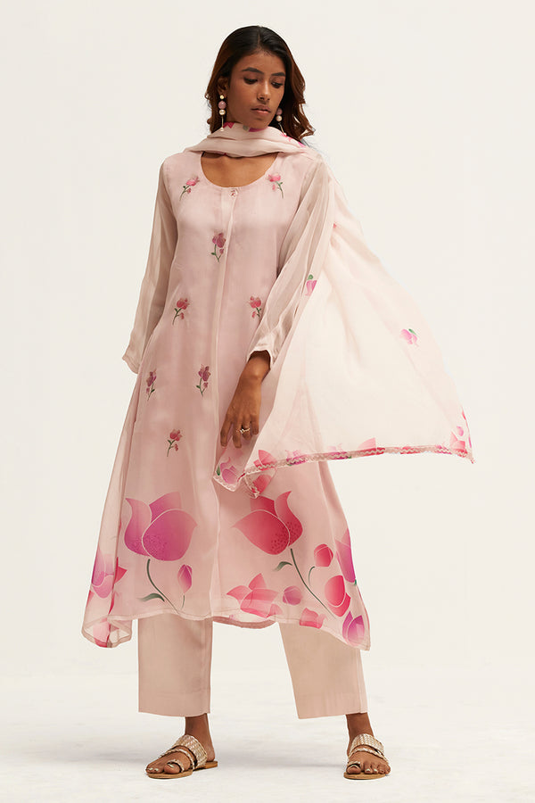 Light Pink Organza Salwar Suit