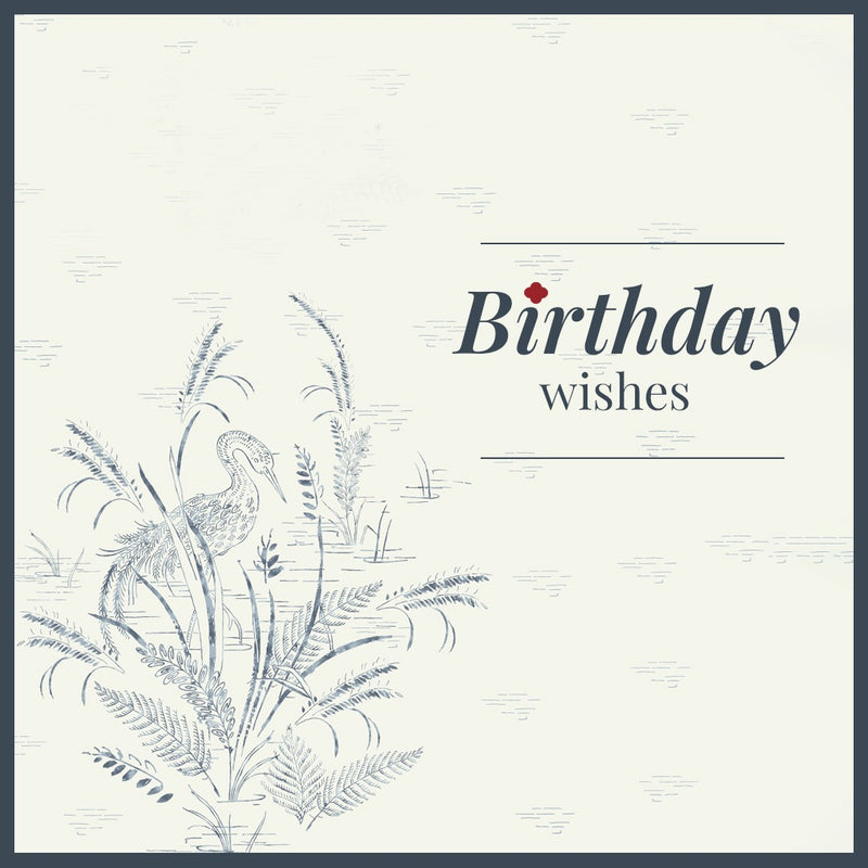 Send Birthday Wishes
