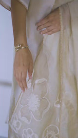 Fog Beige Woven Kurta And Contrast Dupatta With Hand Work Detailing